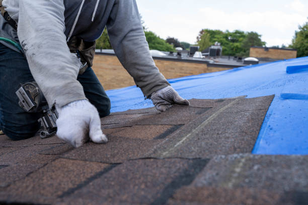 Best Roof Replacement Cost  in New Eagle, PA