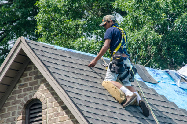 Best Roof Installation Near Me  in New Eagle, PA